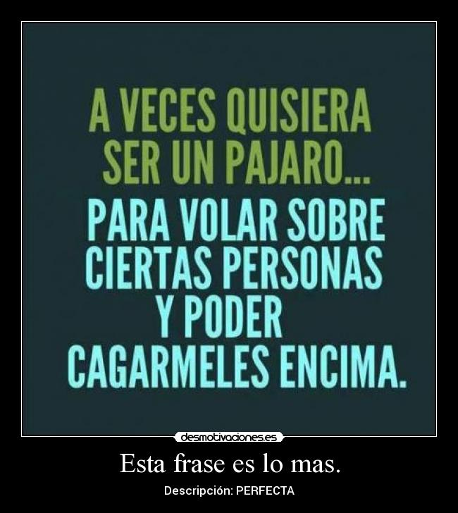 Esta frase es lo mas. - Descripción: PERFECTA