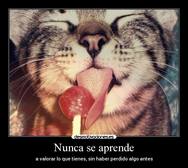 Nunca se aprende -