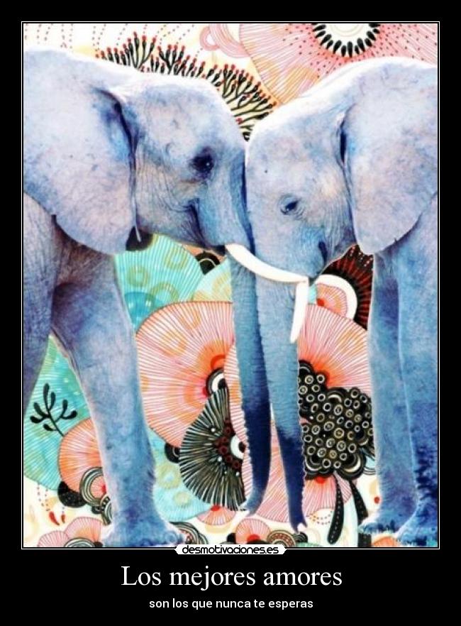 carteles elefantitos asi todos bonitos ajskajskajksj desmotivaciones