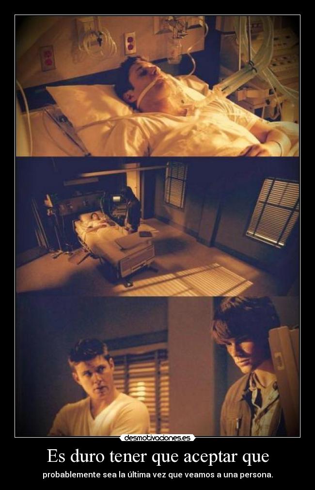 carteles pero con apoyo todo puede superar se que tambien podras dani estas solo youforme desmotivaciones