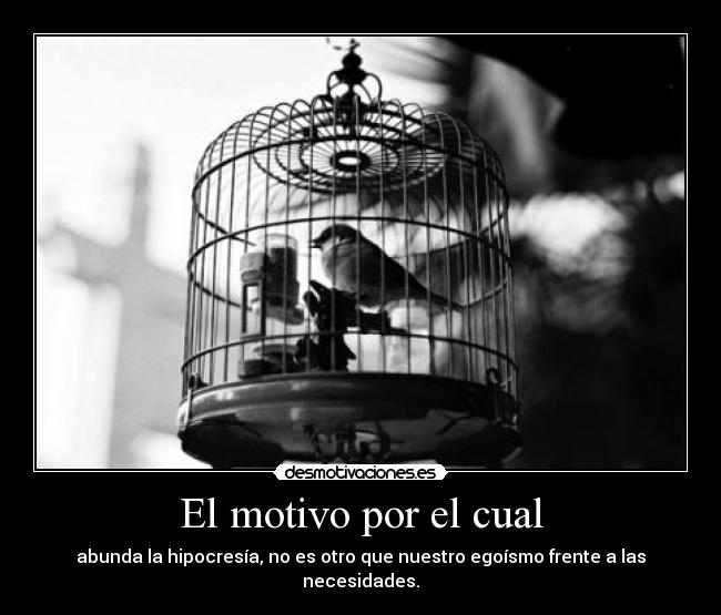 El motivo por el cual -