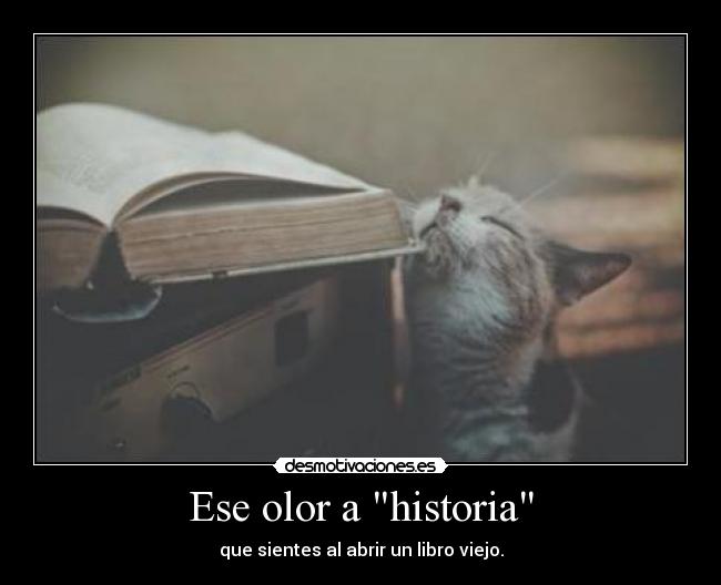 Ese olor a historia - que sientes al abrir un libro viejo.