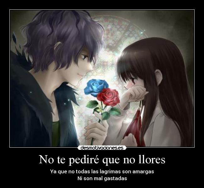No te pediré que no llores - Ya que no todas las lagrimas son amargas
Ni son mal gastadas