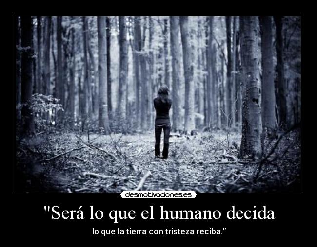 Será lo que el humano decida -