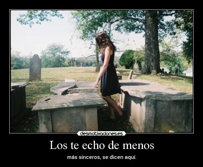 Los te echo de menos -