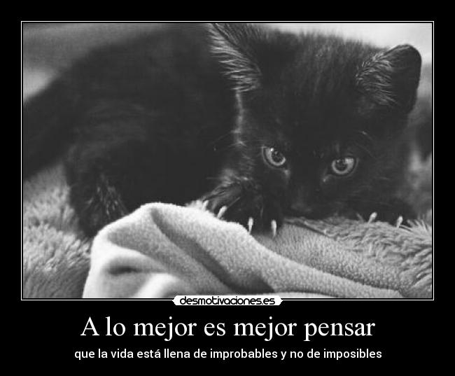 A lo mejor es mejor pensar - que la vida está llena de improbables y no de imposibles