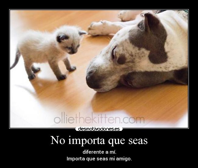 No importa que seas - diferente a mí.
Importa que seas mi amigo.