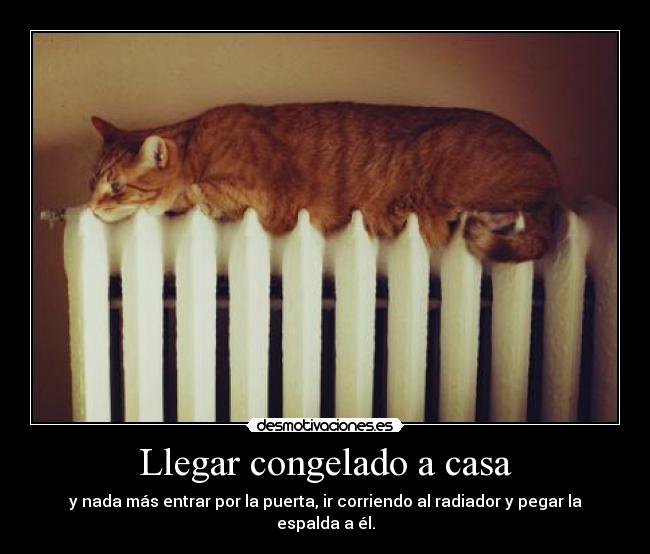 Llegar congelado a casa - y nada más entrar por la puerta, ir corriendo al radiador y pegar la espalda a él.