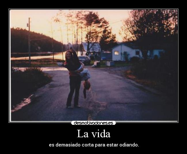 carteles vida asi que pasa gente que intente joderte vive desmotivaciones