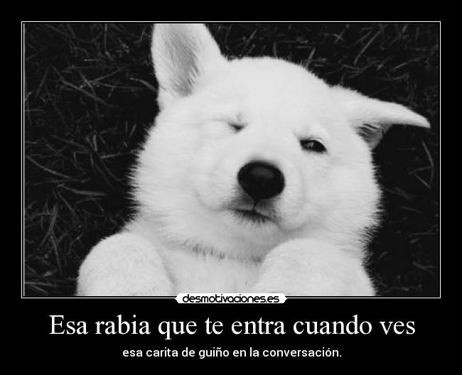 Esa rabia que te entra cuando ves - esa carita de guiño en la conversación.