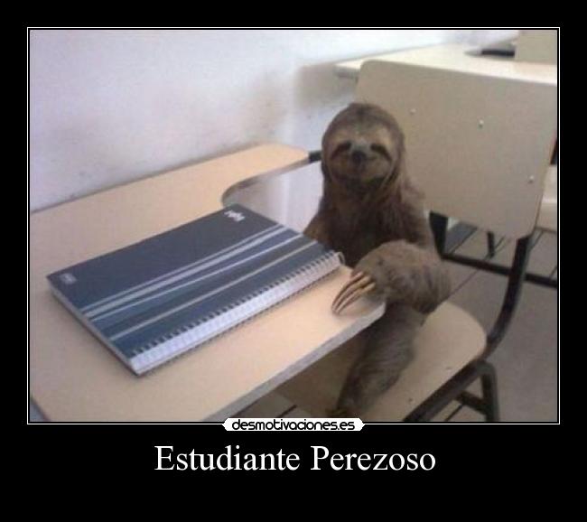 Estudiante Perezoso - 