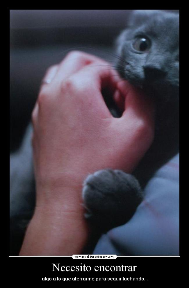 Necesito encontrar - 