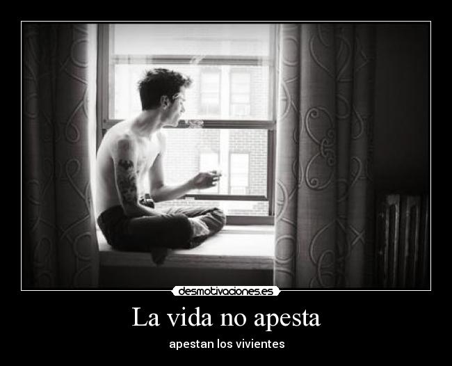 La vida no apesta - 