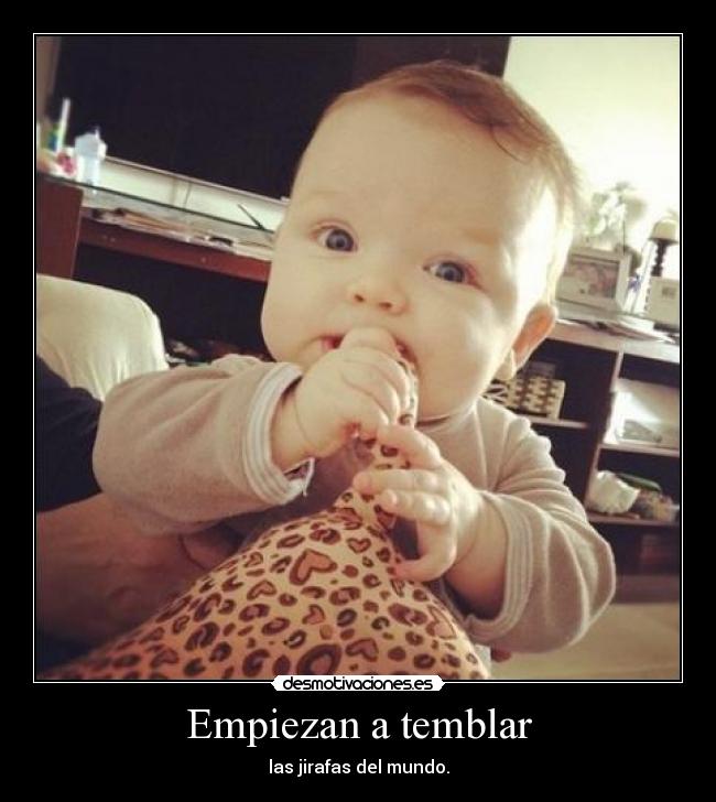 Empiezan a temblar - 