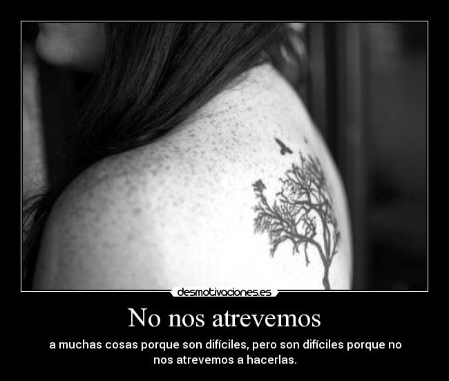 No nos atrevemos - 