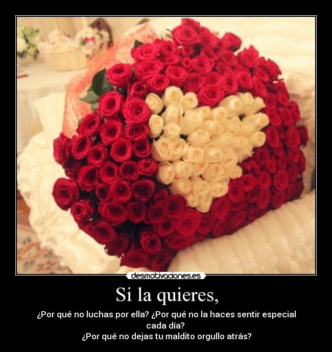 Si la quieres, - 