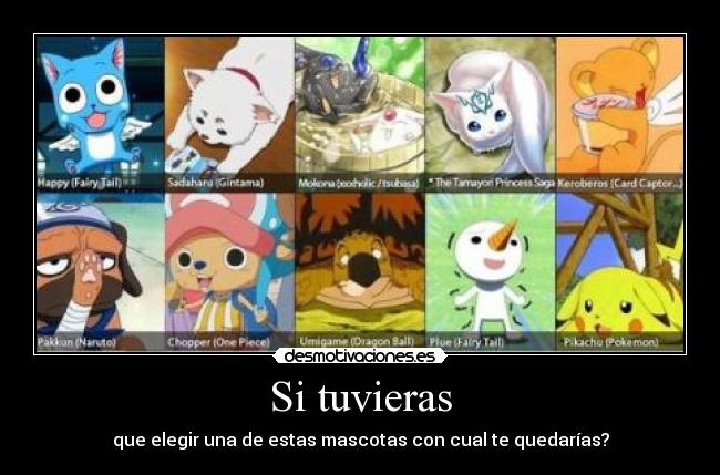 Si tuvieras - que elegir una de estas mascotas con cual te quedarías?