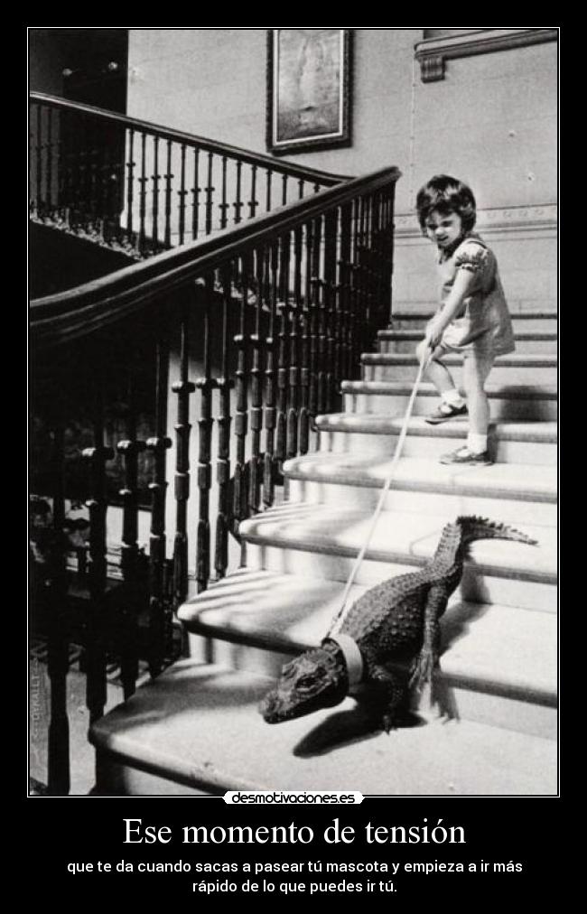 Ese momento de tensión - que te da cuando sacas a pasear tú mascota y empieza a ir más
rápido de lo que puedes ir tú.
