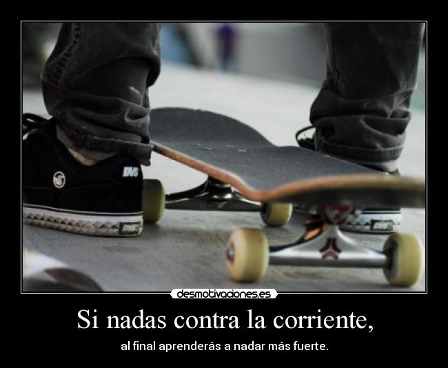 carteles skate entendiste frase vitikom desmotivaciones