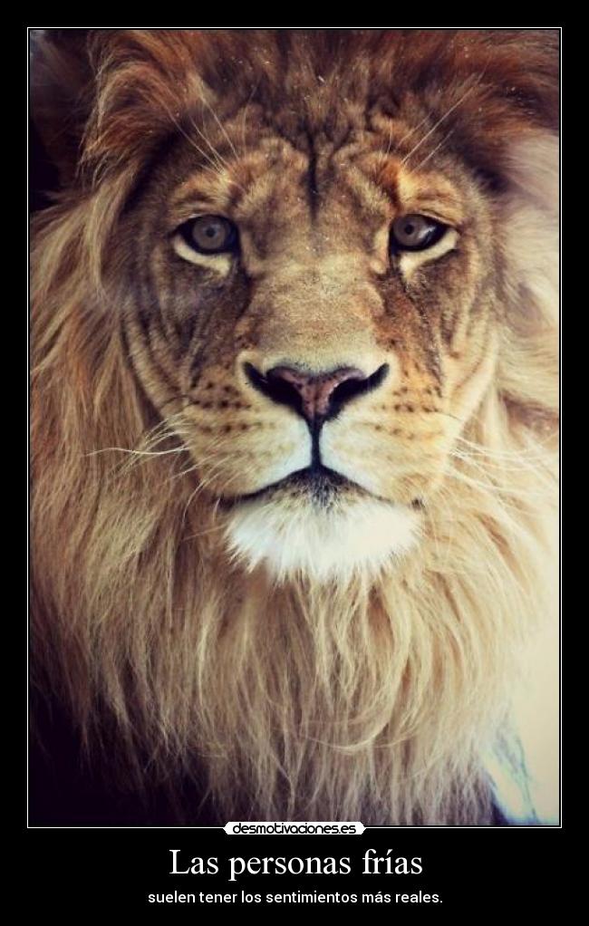 Las personas frías - suelen tener los sentimientos más reales.