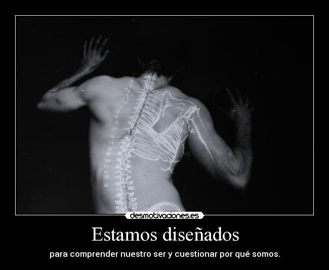 Estamos diseñados - para comprender nuestro ser y cuestionar por qué somos.