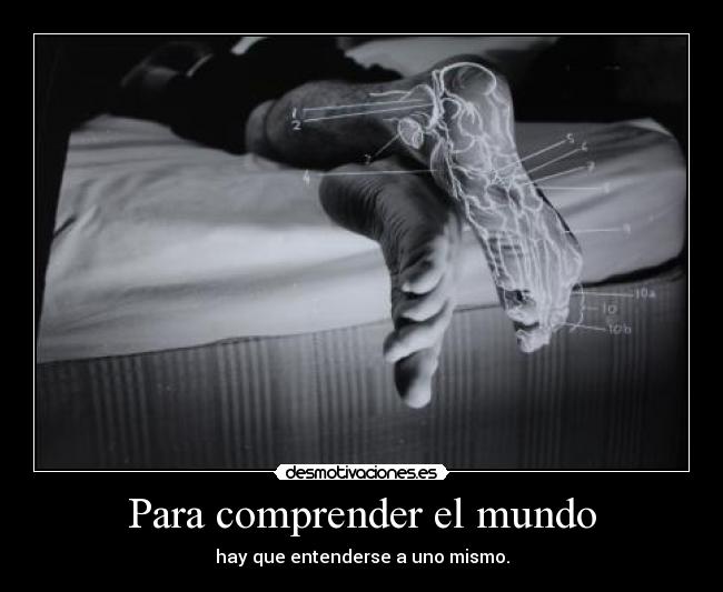 Para comprender el mundo -