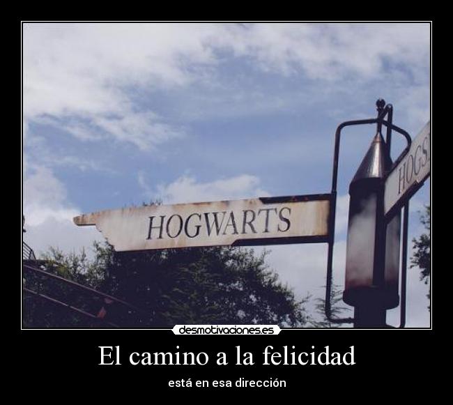 El camino a la felicidad - 