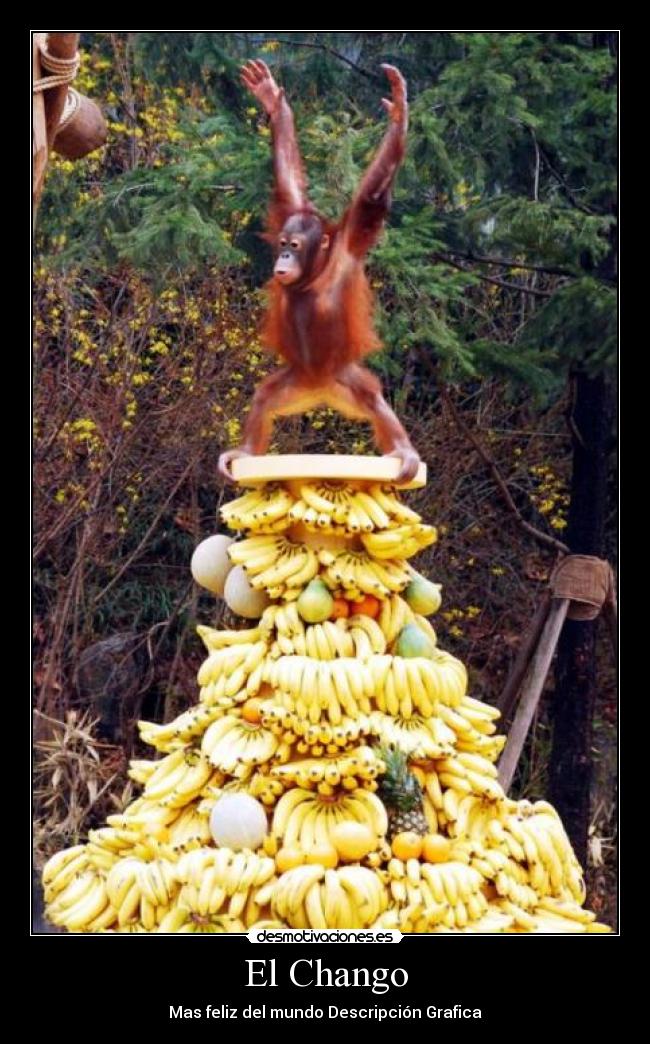 El Chango - Mas feliz del mundo Descripción Grafica