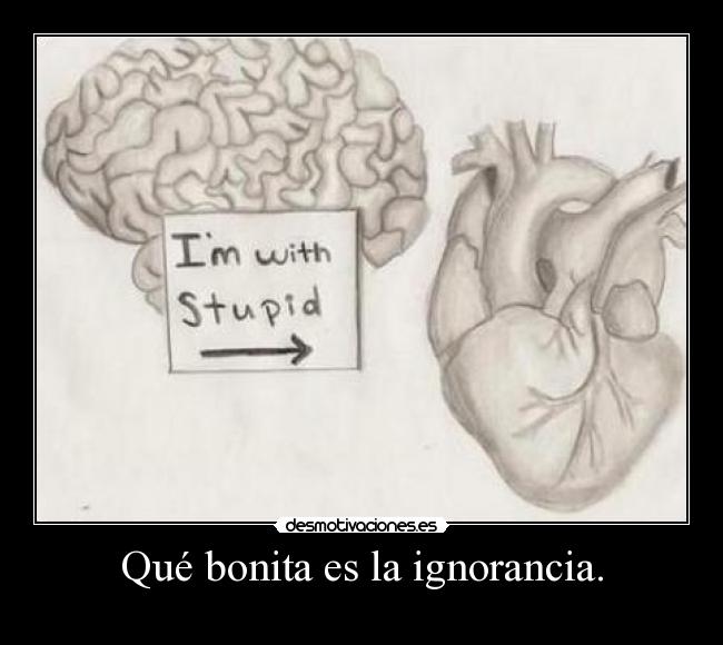 Qué bonita es la ignorancia. -
