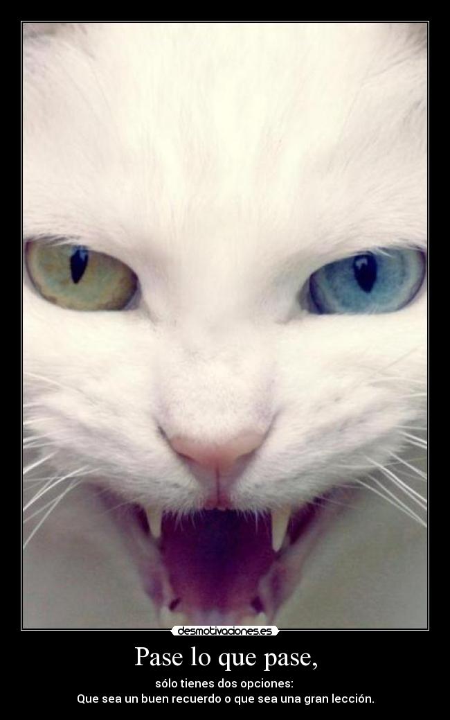 Pase lo que pase, - sólo tienes dos opciones: 
Que sea un buen recuerdo o que sea una gran lección.