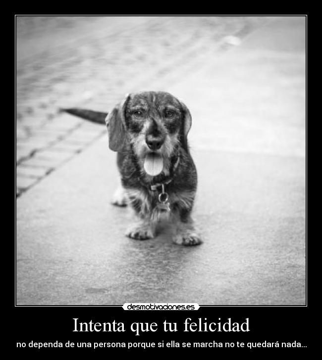 Intenta que tu felicidad - 