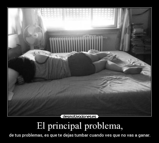 El principal problema, - de tus problemas, es que te dejas tumbar cuando ves que no vas a ganar.