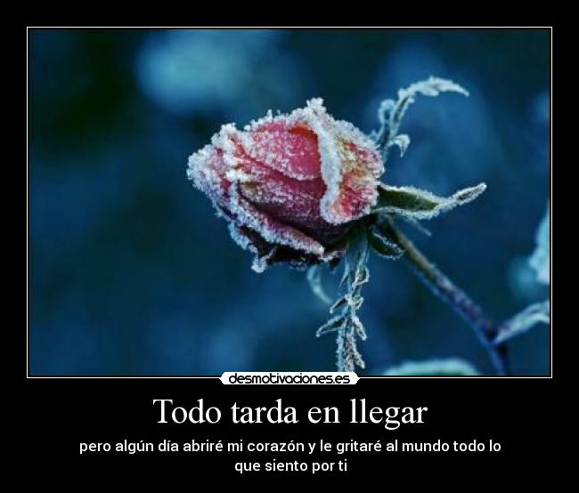 Todo tarda en llegar - pero algún día abriré mi corazón y le gritaré al mundo todo lo que siento por ti