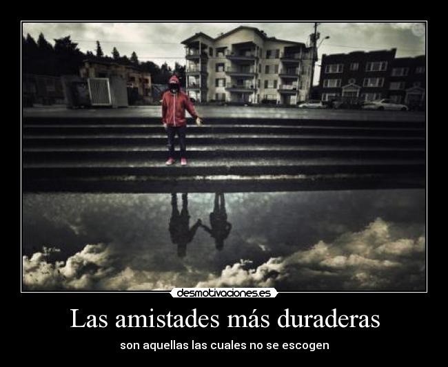 carteles king tus princis notskate desmotivaciones