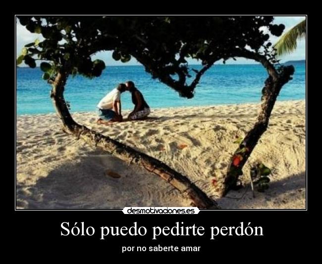 Sólo puedo pedirte perdón - por no saberte amar