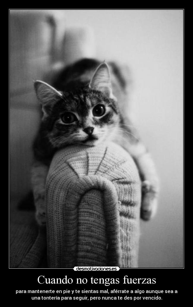 Cuando no tengas fuerzas - 
