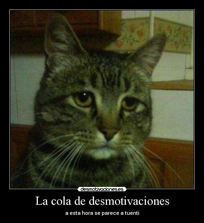 La cola de desmotivaciones - a esta hora se parece a tuenti