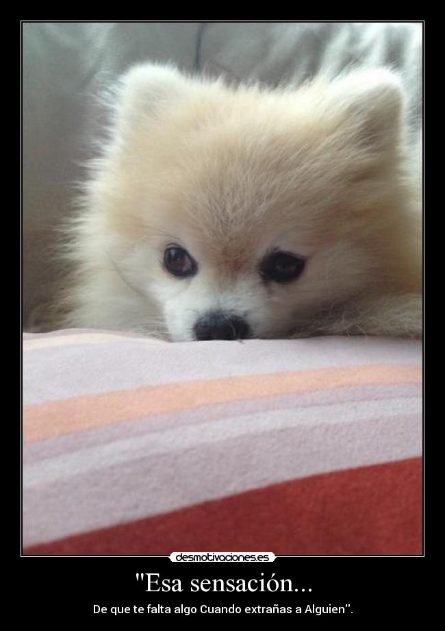 Esa sensación... - De que te falta algo Cuando extrañas a Alguien.