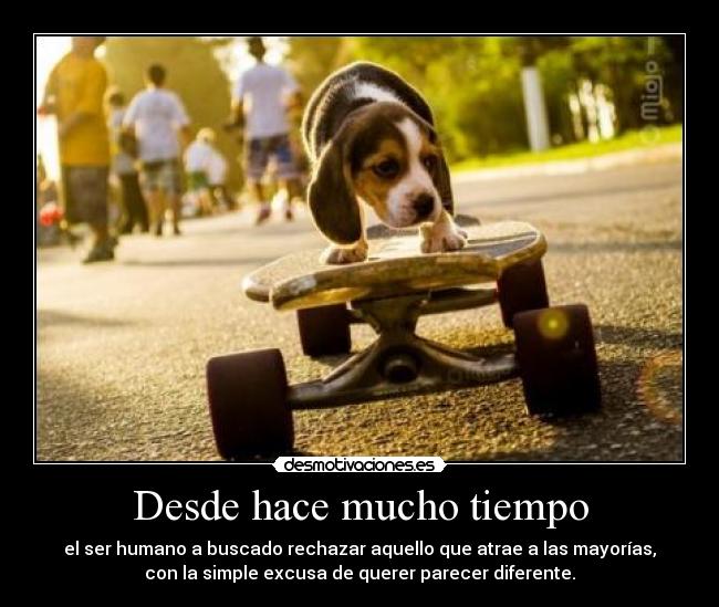 Desde hace mucho tiempo - 