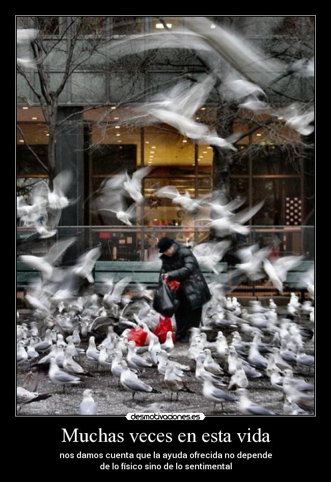 Muchas veces en esta vida -