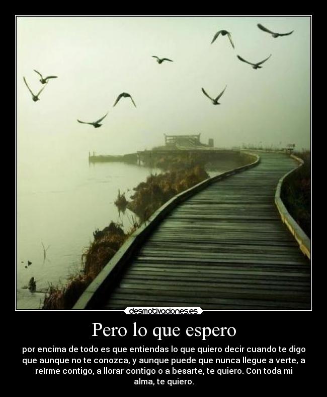 Pero lo que espero - por encima de todo es que entiendas lo que quiero decir cuando te digo
que aunque no te conozca, y aunque puede que nunca llegue a verte, a
reírme contigo, a llorar contigo o a besarte, te quiero. Con toda mi
alma, te quiero.