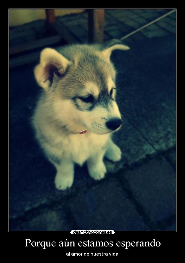 Porque aún estamos esperando - al amor de nuestra vida.