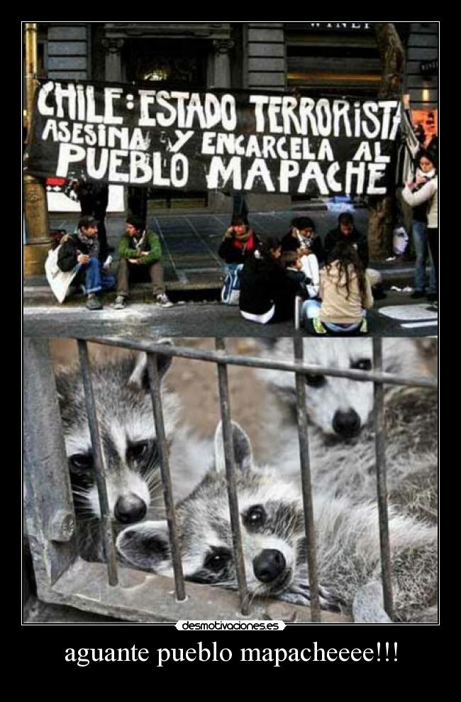 aguante pueblo mapacheeee!!! - 