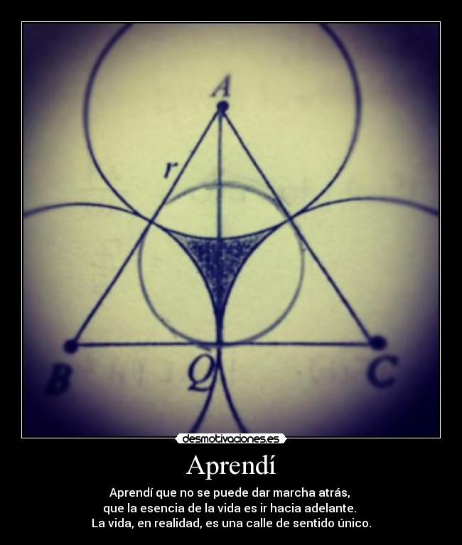 Aprendí - Aprendí que no se puede dar marcha atrás, 
que la esencia de la vida es ir hacia adelante. 
La vida, en realidad, es una calle de sentido único.