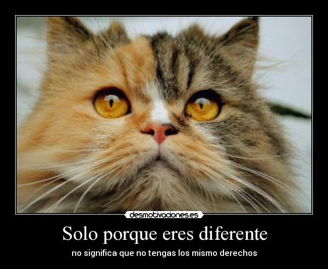 Solo porque eres diferente -