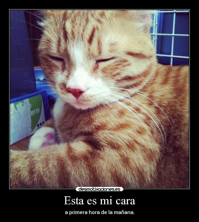 carteles dormir desmotivaciones