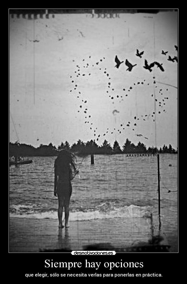 Siempre hay opciones -