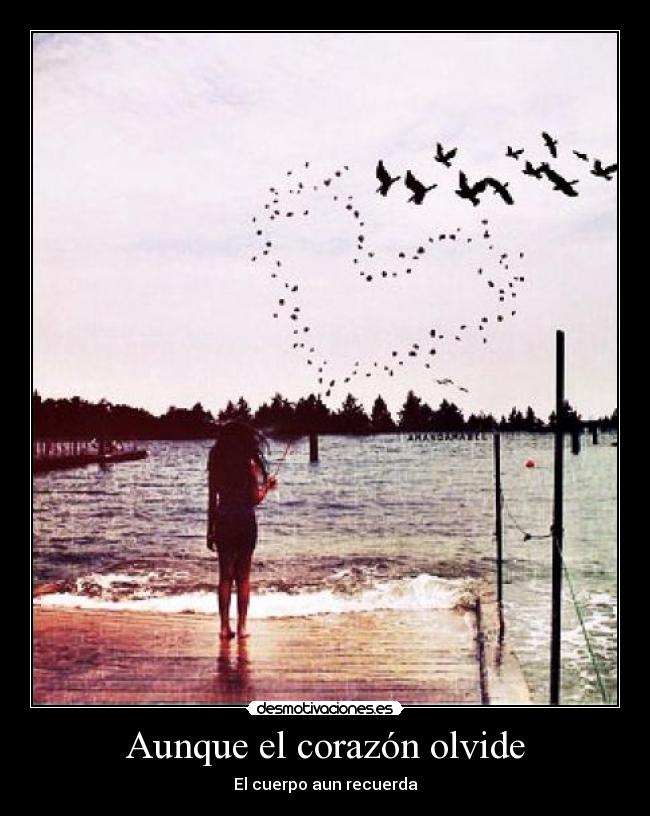 Aunque el corazón olvide - El cuerpo aun recuerda