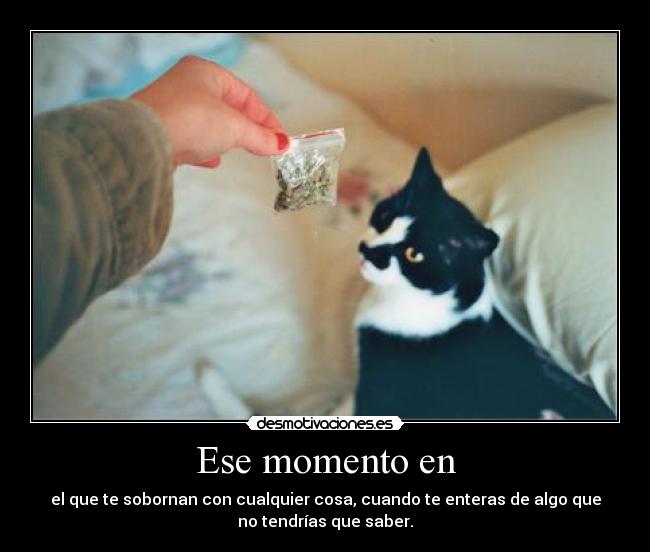 Ese momento en - 