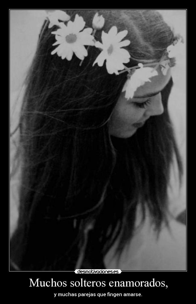 Muchos solteros enamorados, -